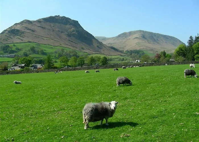 Holiday home Dovecot *